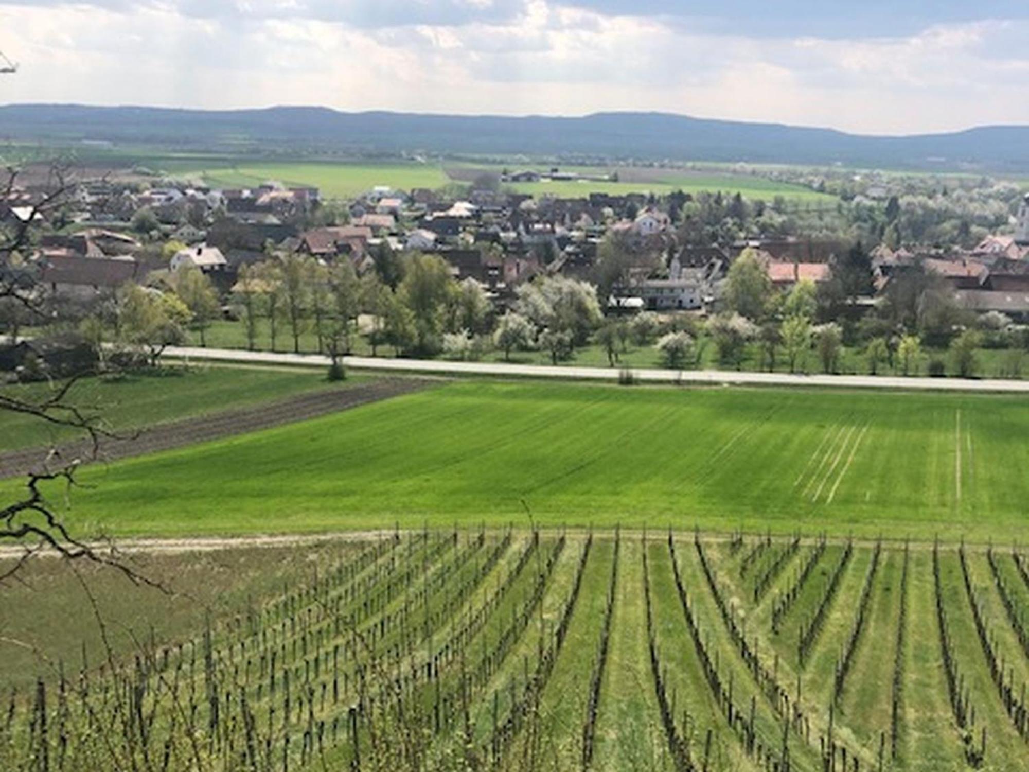 Ferienwohnung Weinberg Markt Einersheim Exterior foto